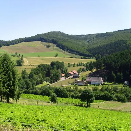 Charmantes In Skigebietsnaehe *