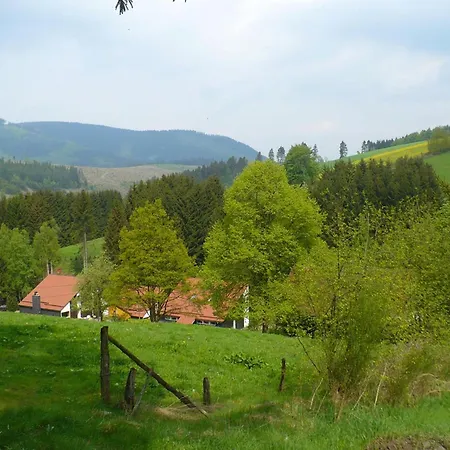 Dom wakacyjny Charmantes In Skigebietsnaehe *