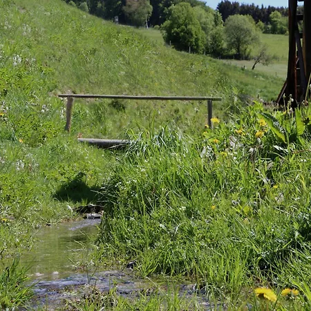 Dom wakacyjny Charmantes In Skigebietsnaehe *