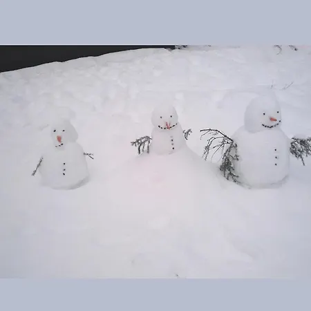 Charmantes In Skigebietsnaehe Schmallenberg