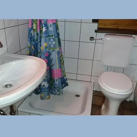 Charmantes In Skigebietsnaehe Vakantiehuis *