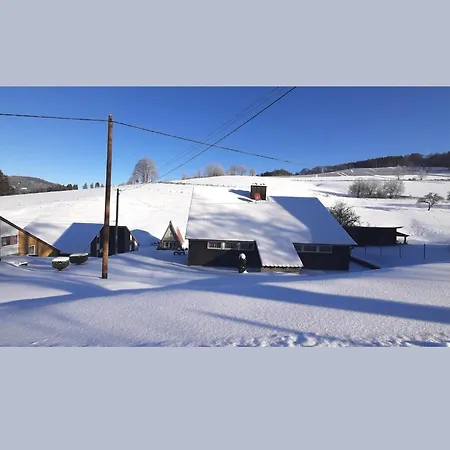 Charmantes In Skigebietsnaehe Vakantiehuis
