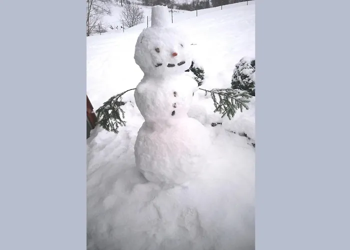 Holiday home Charmantes In Skigebietsnaehe