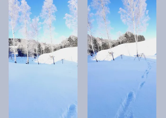 Holiday home Charmantes In Skigebietsnaehe Schmallenberg